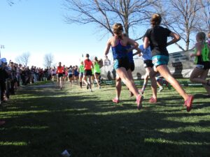 runners, cross-country, race-2365067.jpg